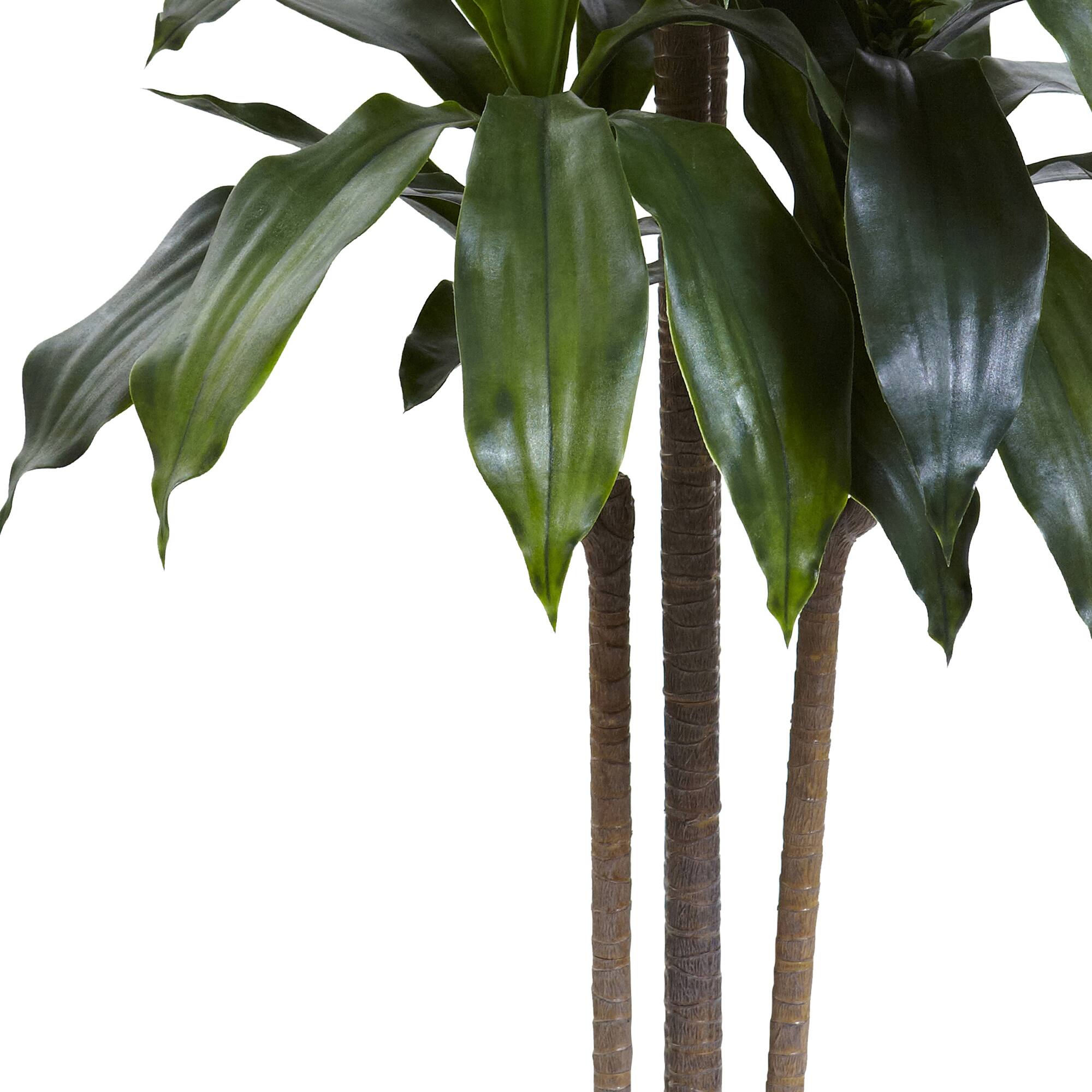 5ft. Potted Dracaena Plant